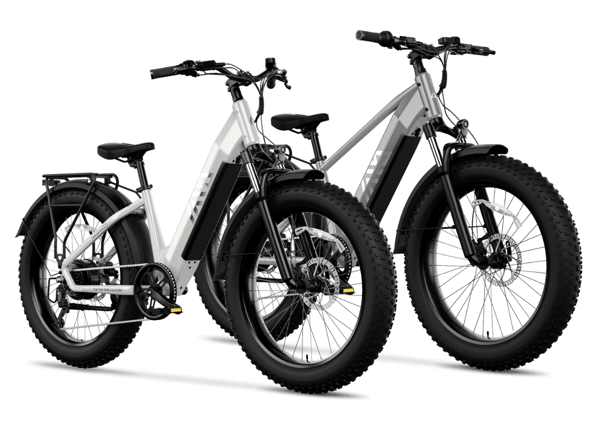 TST® Combo Sale Defender+Dreamer 26" Fat Tire Ebike For Adult