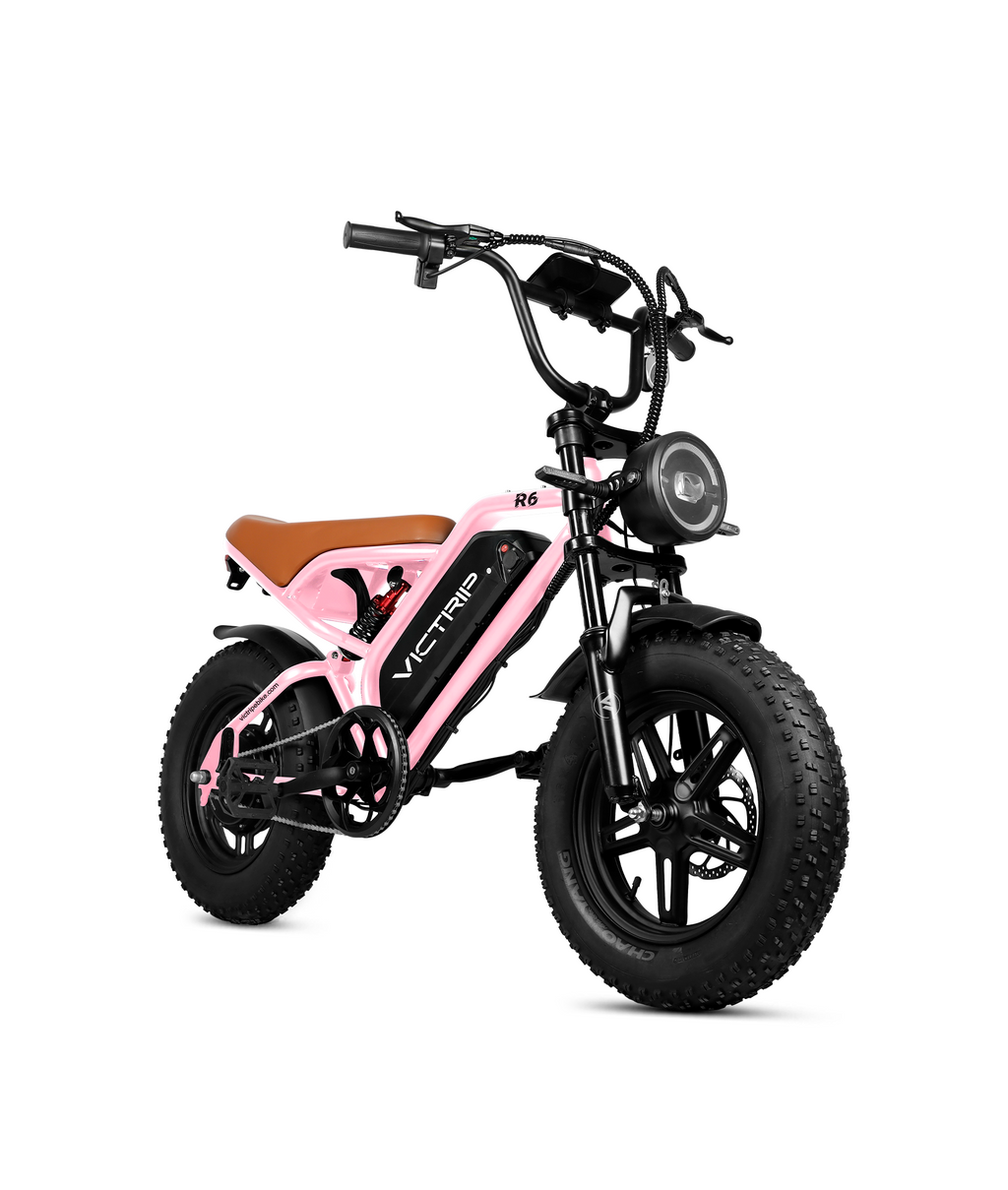 VICTRIP®R6 Off Road Ebike