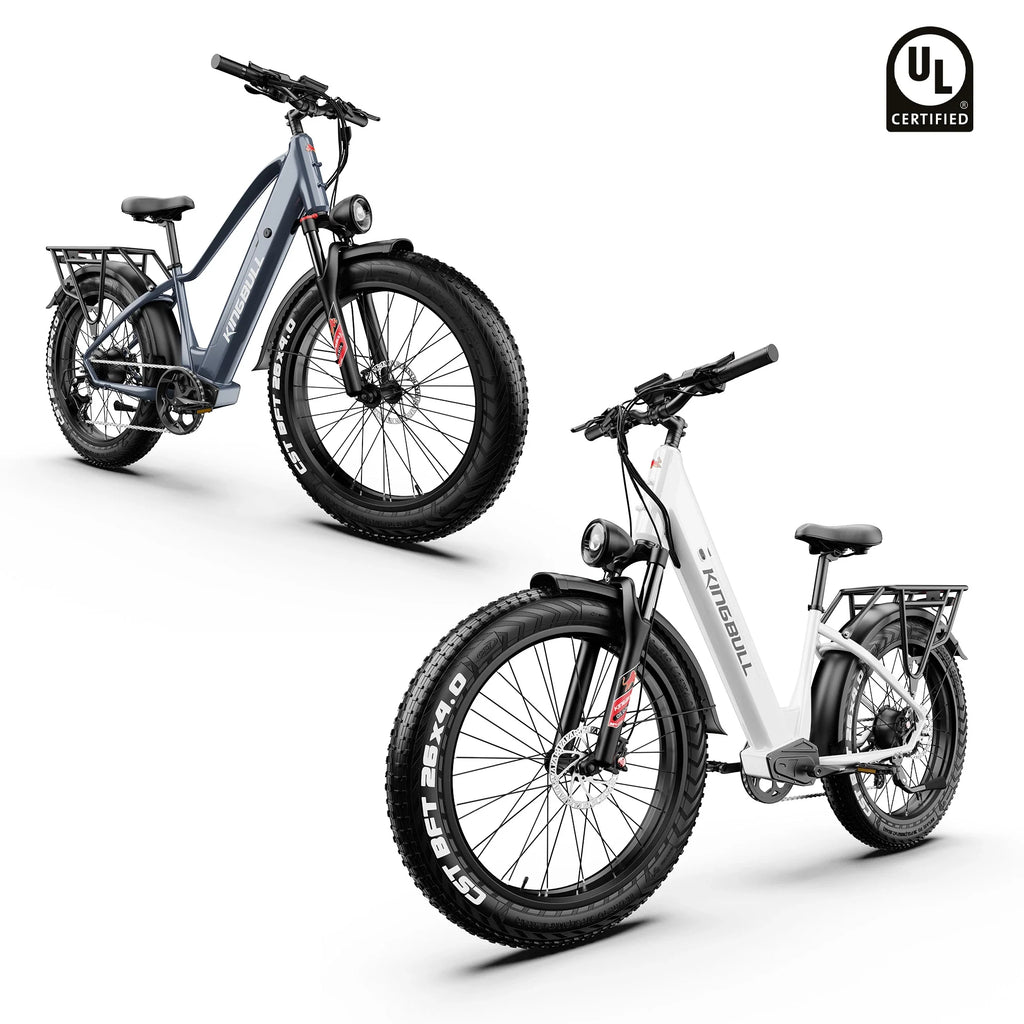 Double Kingbull Discover 2.0/Discover ST 2.0 | Premium Off-road & City Electric Bike