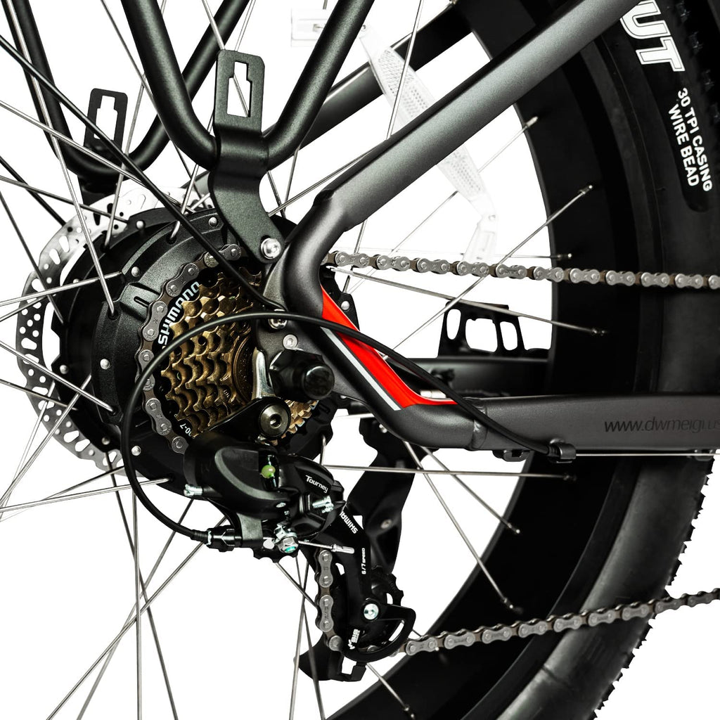 DWMEIGI Pegasus 48V/16Ah 750W Fat Tire Electric Bike