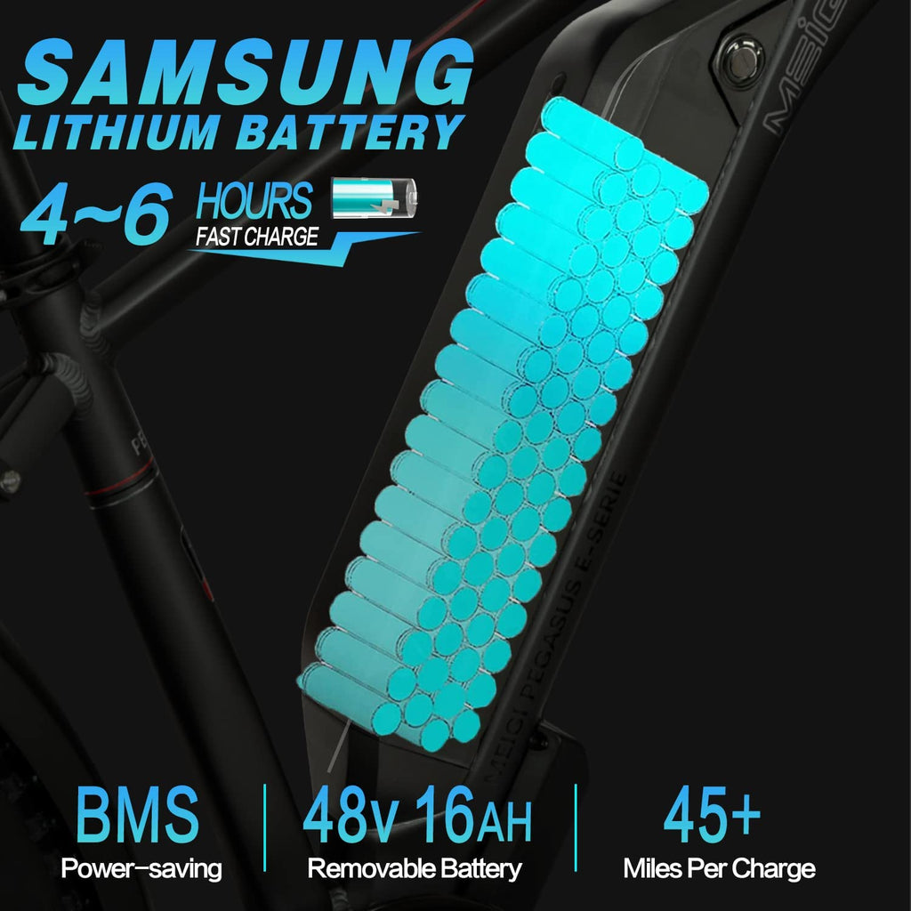 DWMEIGI Pegasus 48V/16Ah 750W Fat Tire Electric Bike