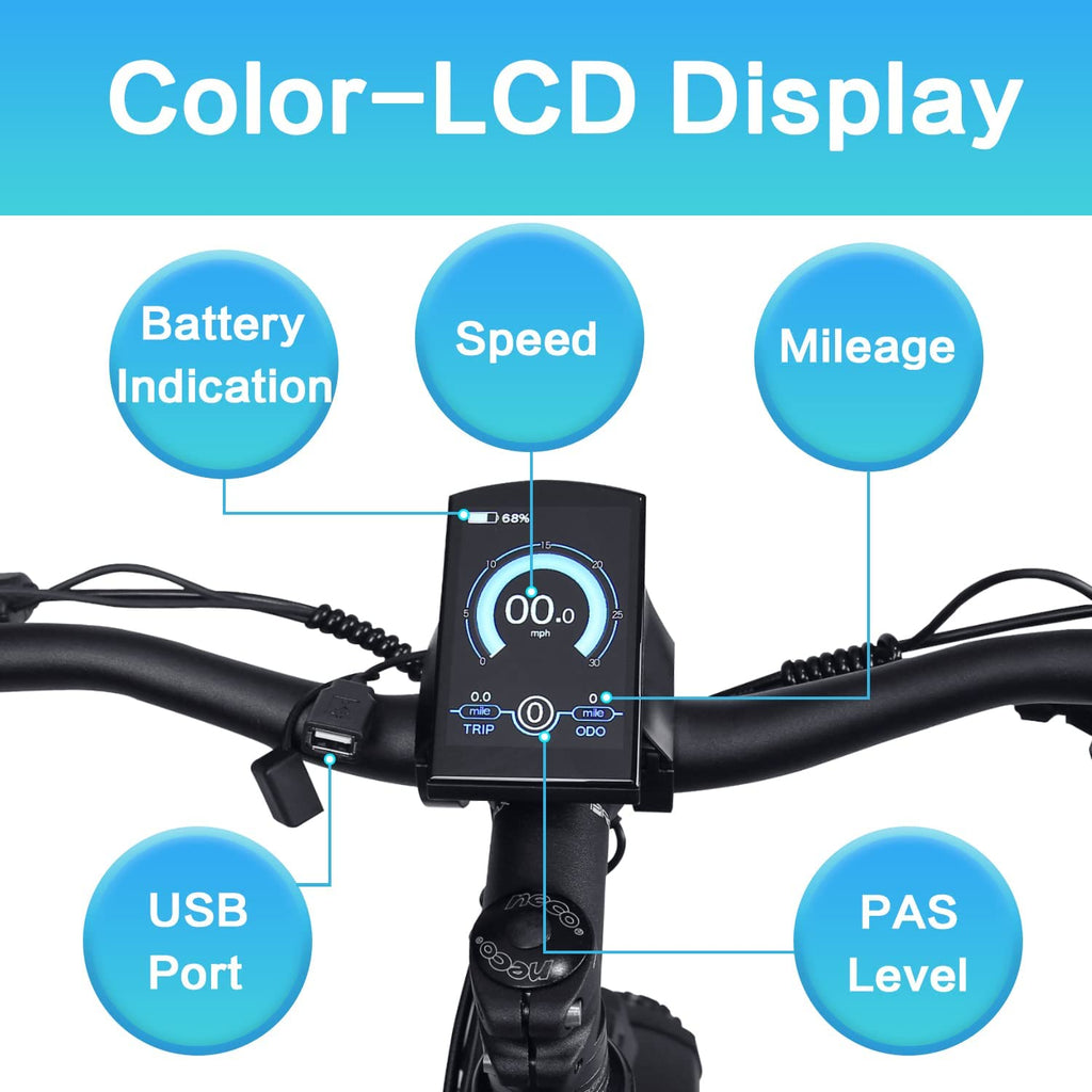 DWMEIGI Pegasus 48V/16Ah 750W Fat Tire Electric Bike