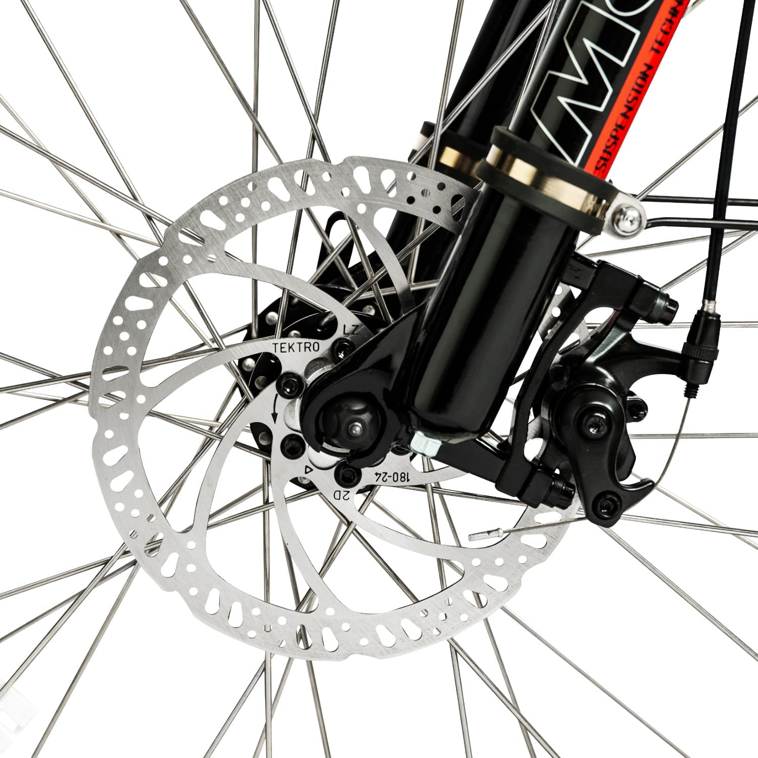 DWMEIGI Pegasus 48V/16Ah 750W Fat Tire Electric Bike