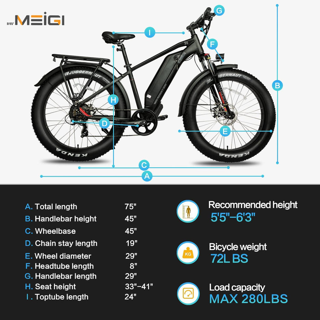 DWMEIGI Pegasus 48V/16Ah 750W Fat Tire Electric Bike