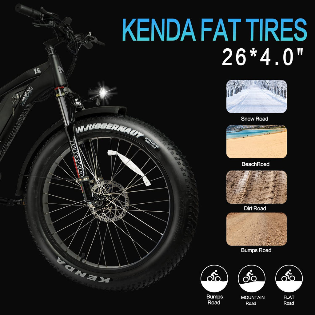 DWMEIGI Pegasus 48V/16Ah 750W Fat Tire Electric Bike