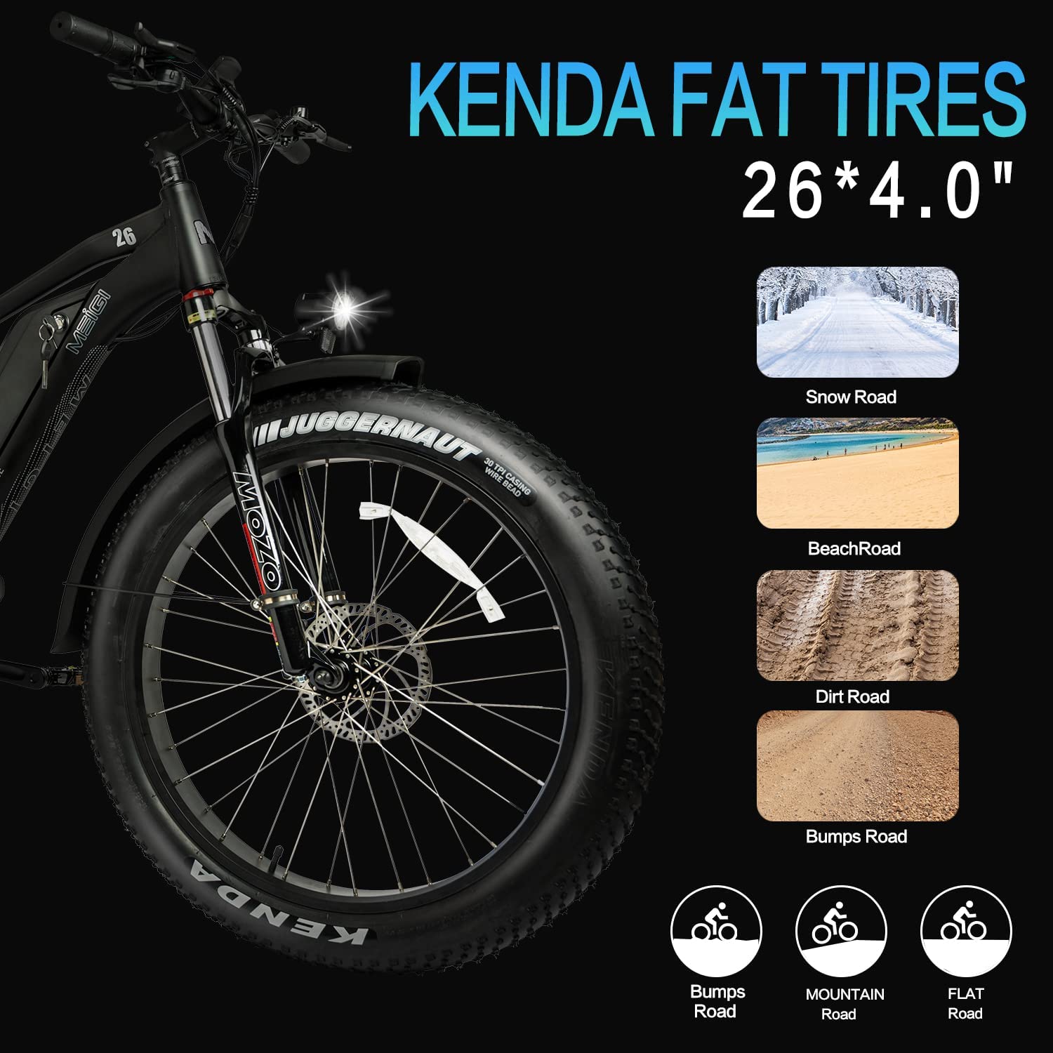DWMEIGI Pegasus 48V/16Ah 750W Fat Tire Electric Bike