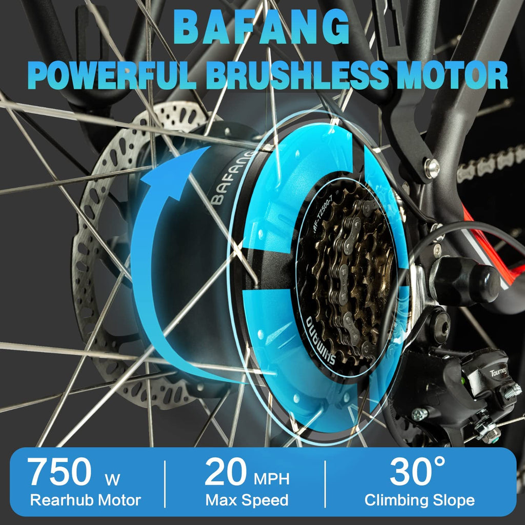 DWMEIGI Pegasus 48V/16Ah 750W Fat Tire Electric Bike
