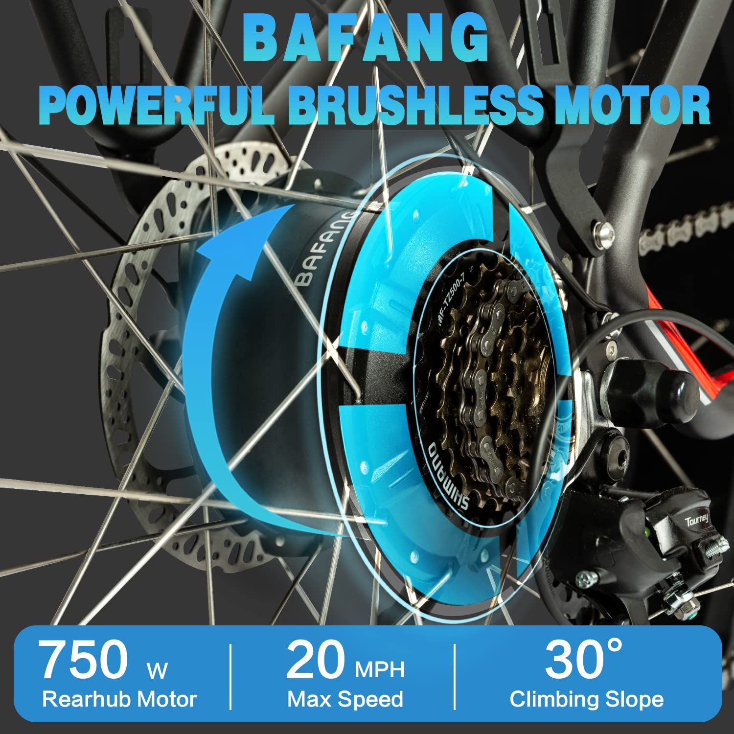 DWMEIGI Pegasus 48V/16Ah 750W Fat Tire Electric Bike