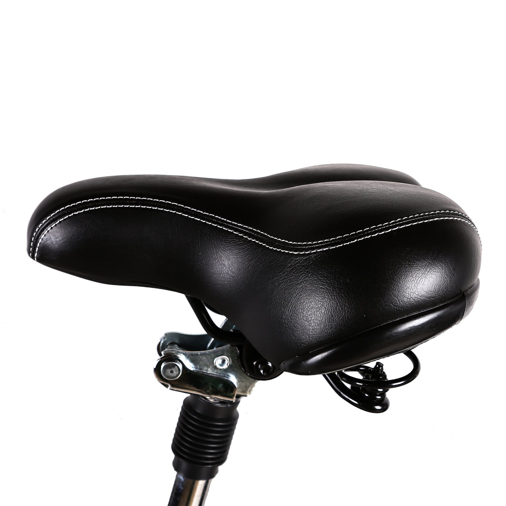NAKTO Camel 36V/10Ah 250W/350W Electric Bike