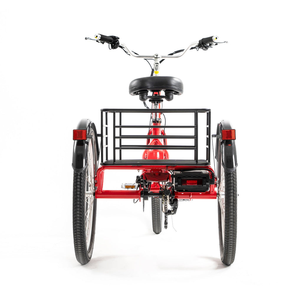 DWMEIGI Hera MG708 36V/13Ah 350W Step-Thru Electric Trike