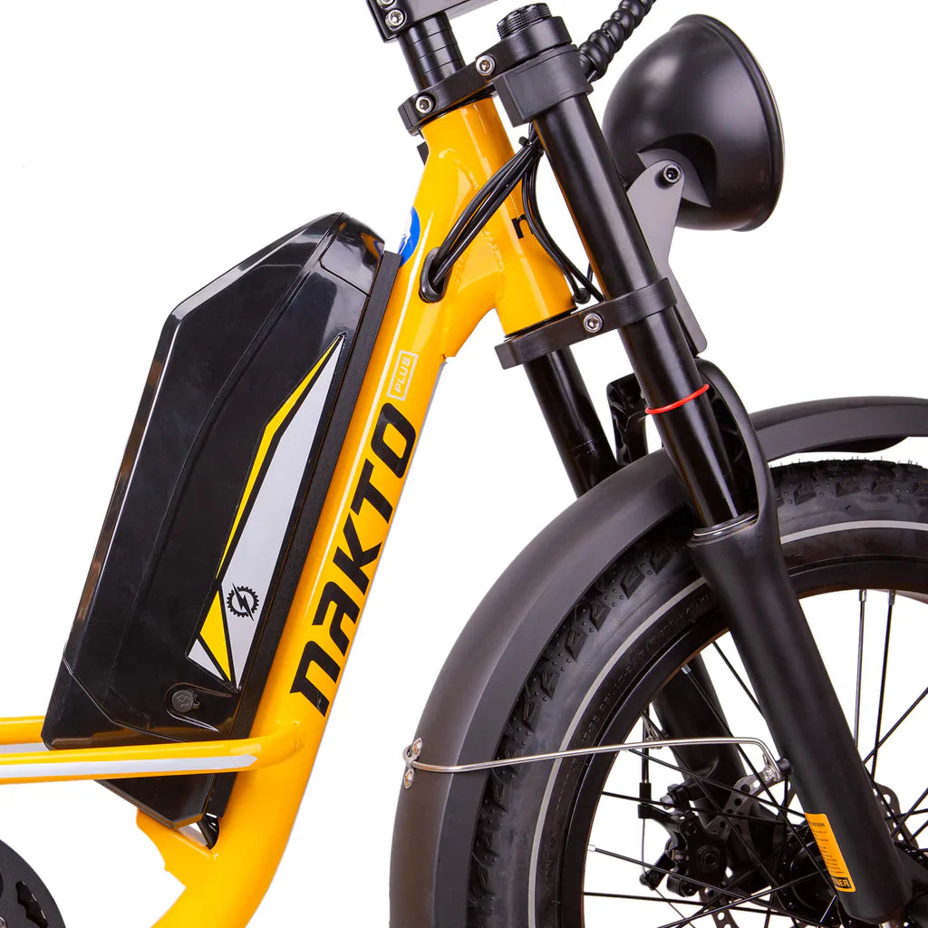 NAKTO F4 48V/20Ah 750W Electric Bike