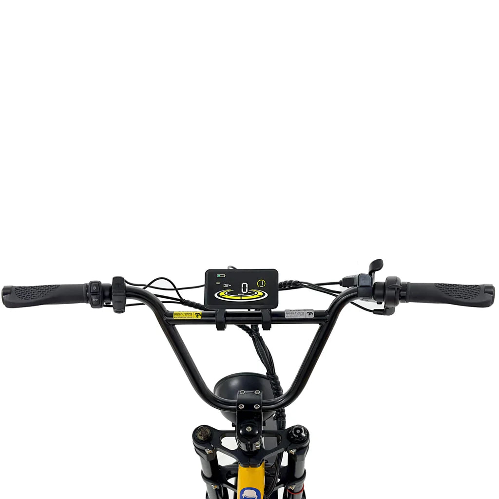 NAKTO F4 48V/20Ah 750W Electric Bike