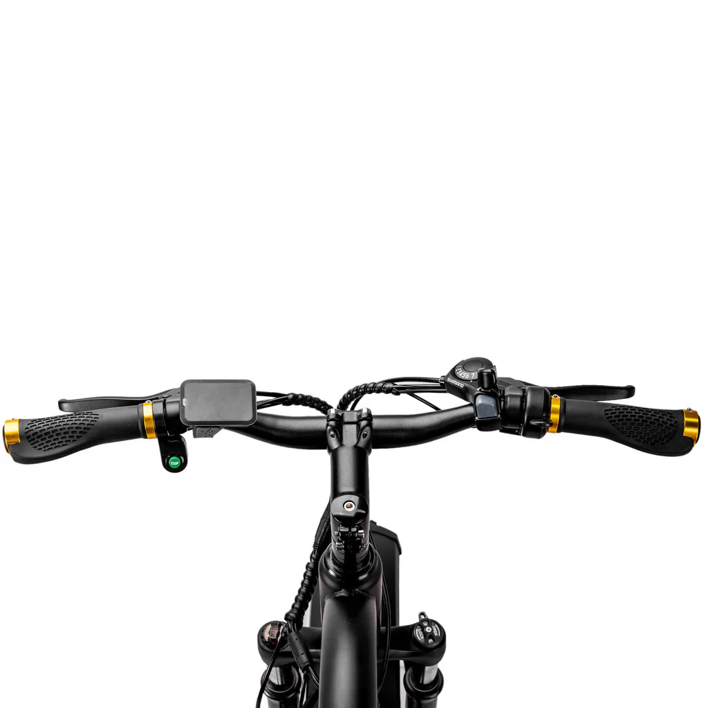 NAKTO Cruiser 2 48V/12Ah 750W Fat Tire Electric Bike