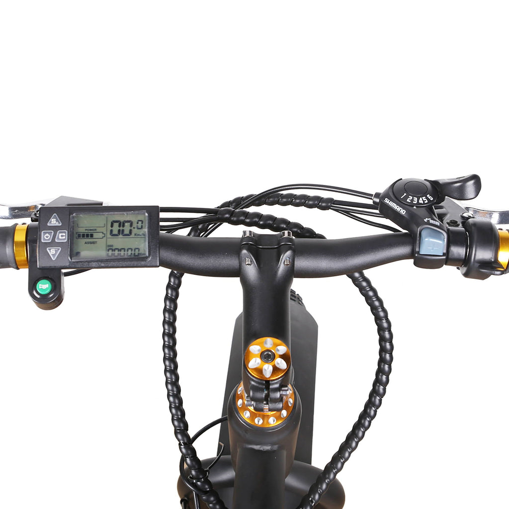 NAKTO Cruiser 36V/10Ah 300W Fat Tire Electric Bike