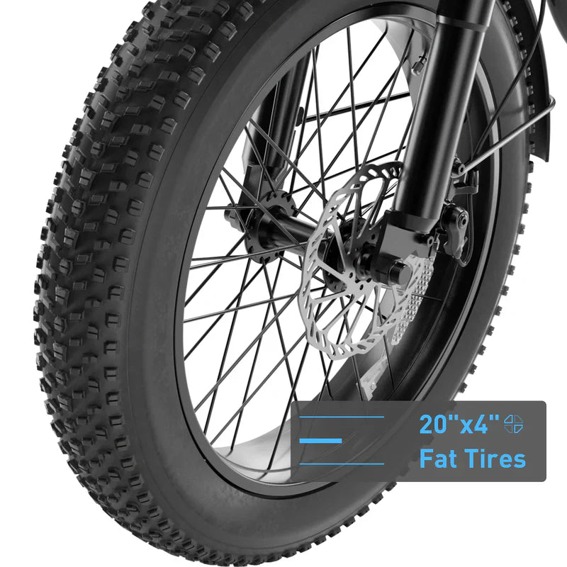 Hiboy EX6F 48V/14.5Ah 500W Electric Bike
