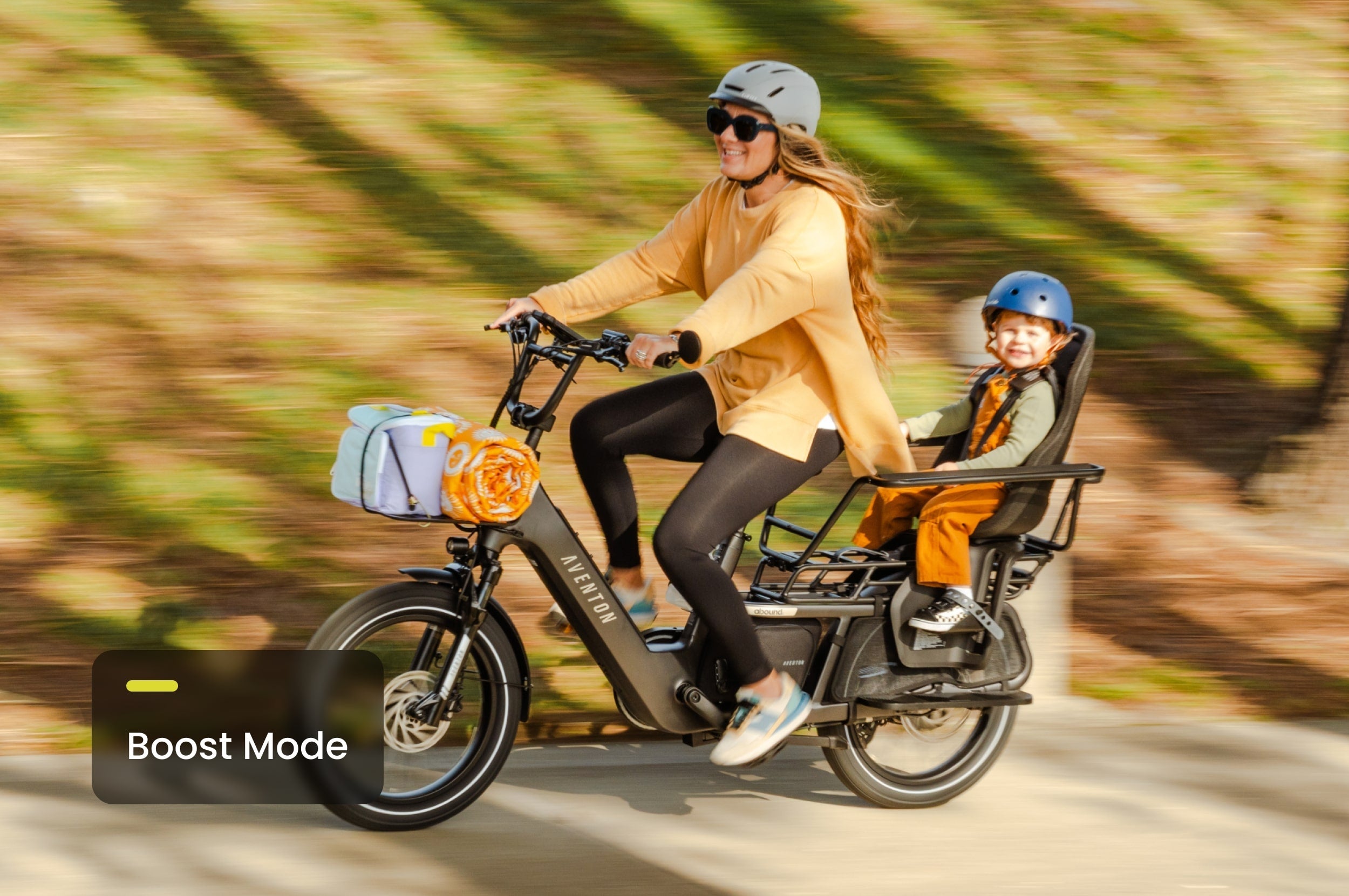 Abound LR Ebike