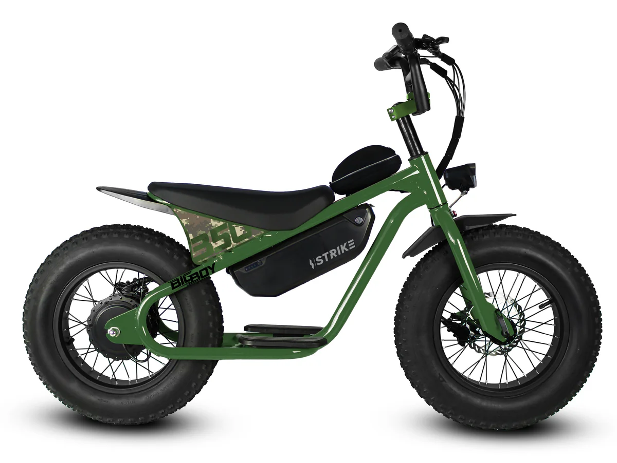 Golden Cycles Big Boy Electric Bike