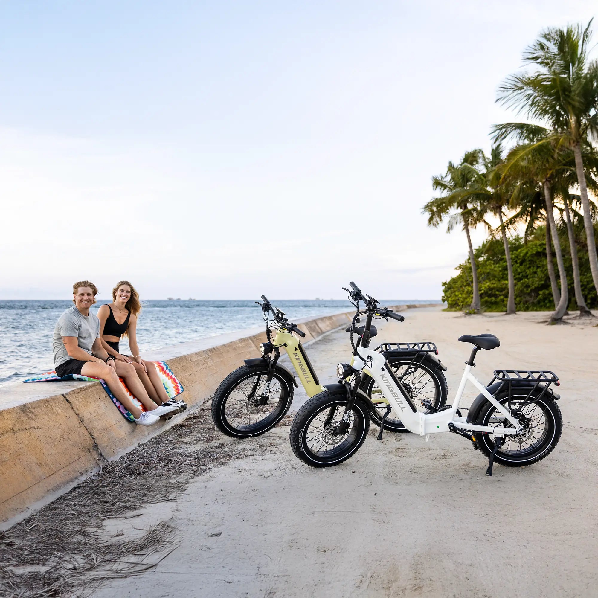 Kingbull Verve | Long Range Fat Tire Folding Electric Bike