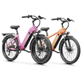 Aipas® Ebike Combo Sale C1 Max+C2 Max
