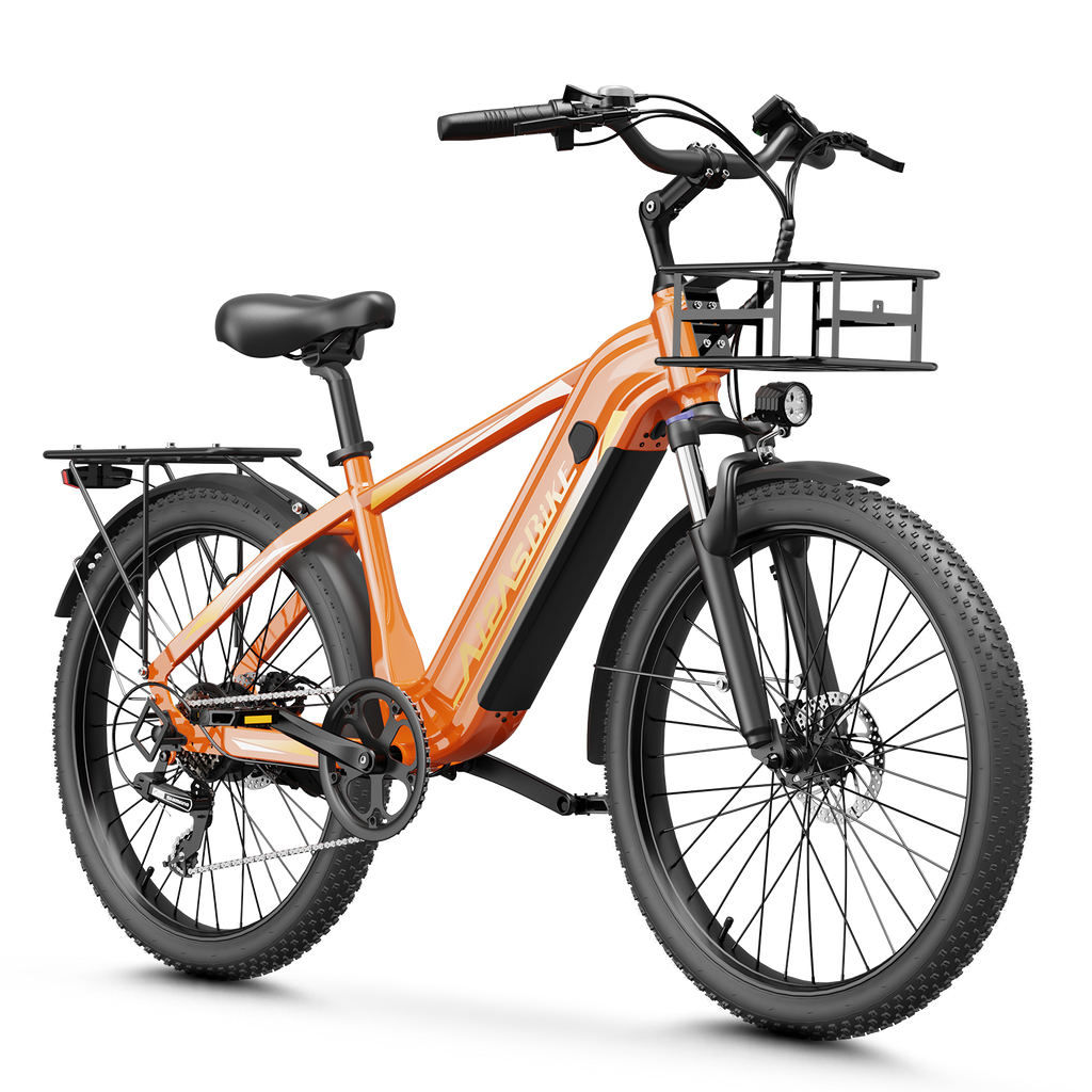 Aipas® Ebike Combo Sale C2 Max*2