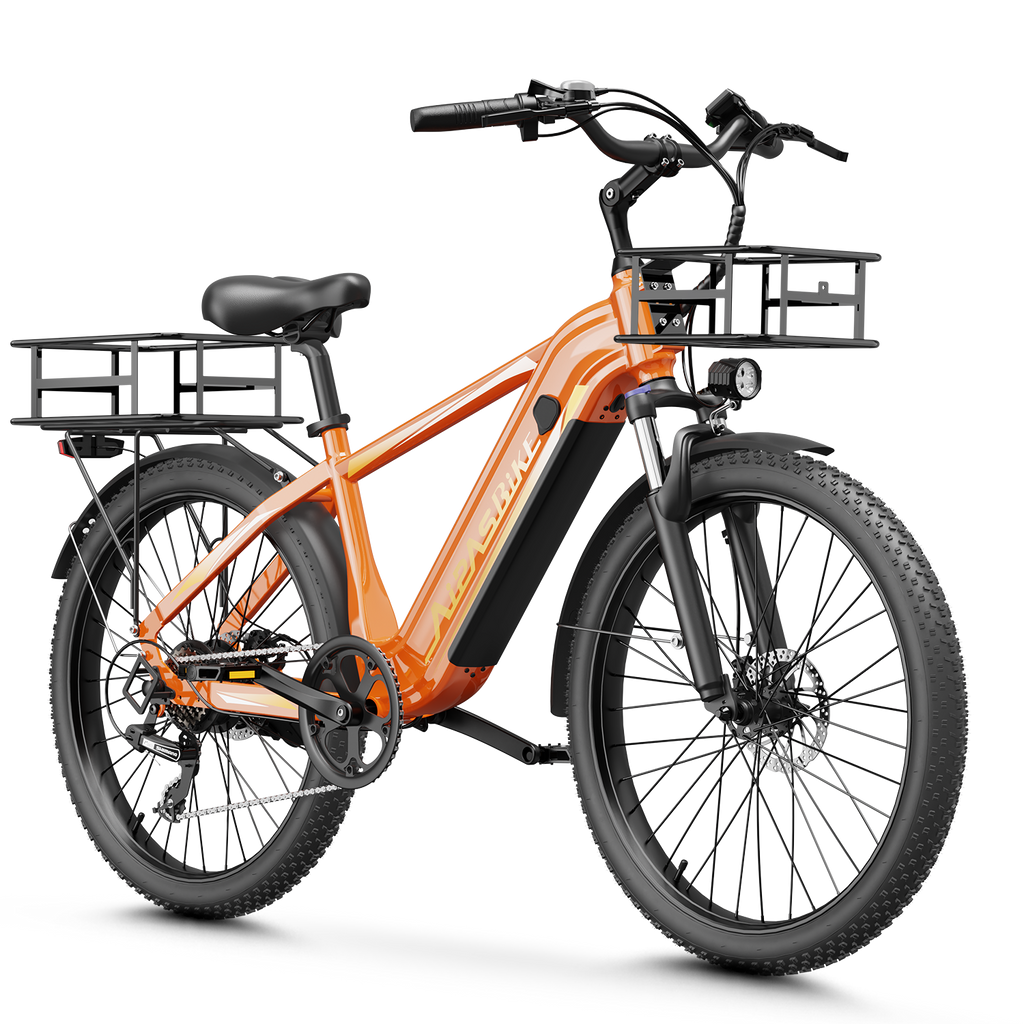 Aipas® Ebike Combo Sale C1 Max+C2 Max