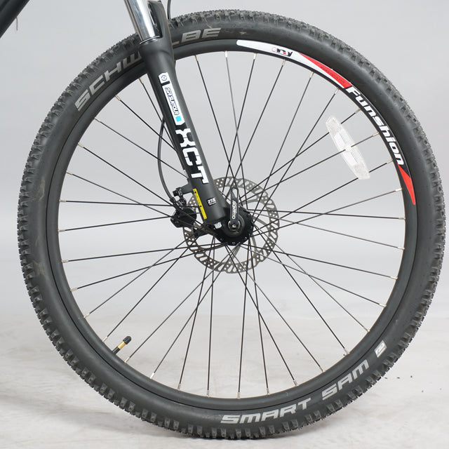 DWMEIGI DW7610 36V/10Ah 350W Electric Mountain Bike
