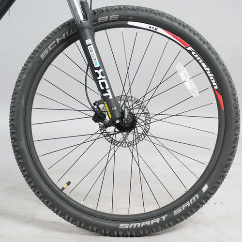 DWMEIGI DW7610 36V/10Ah 350W Electric Mountain Bike