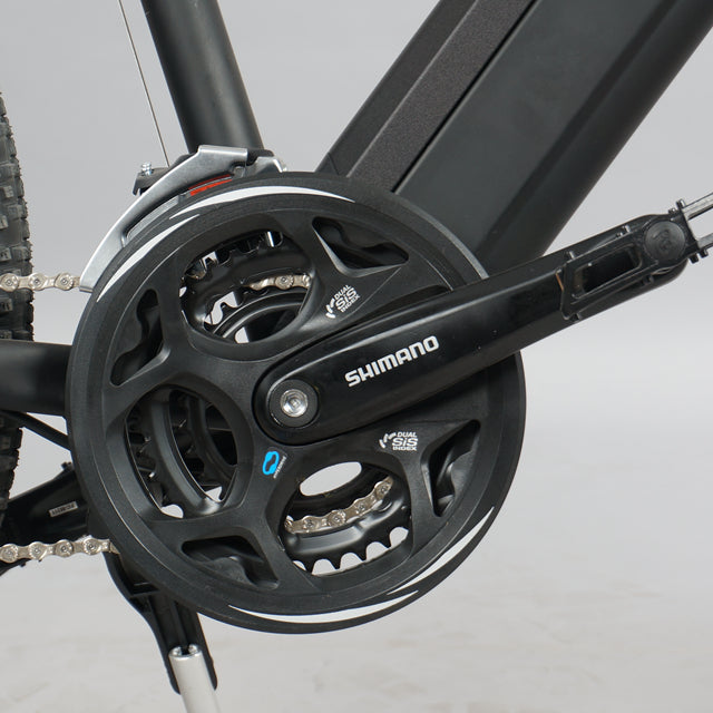 DWMEIGI DW7610 36V/10Ah 350W Electric Mountain Bike