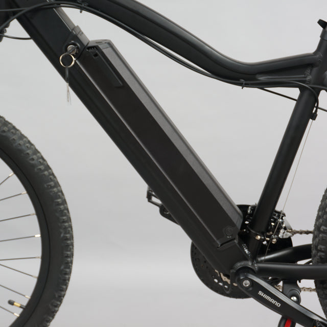 DWMEIGI DW7610 36V/10Ah 350W Electric Mountain Bike