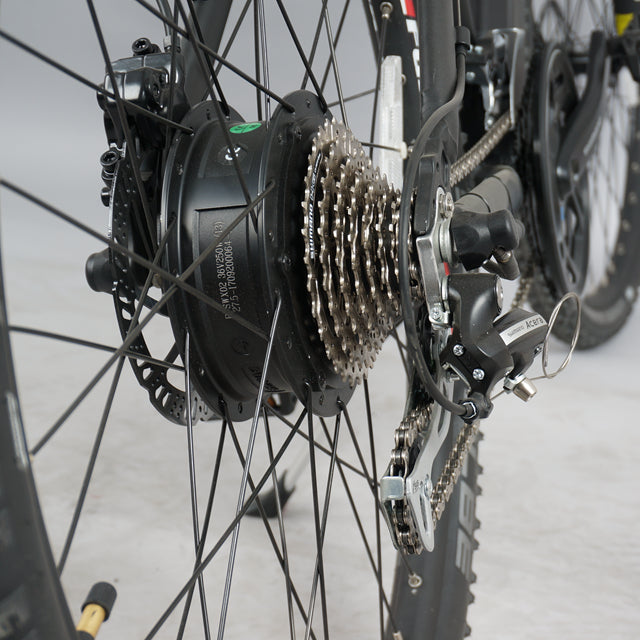 DWMEIGI DW7610 36V/10Ah 350W Electric Mountain Bike