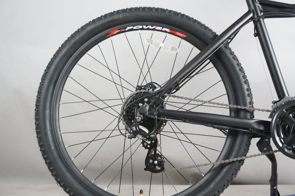 DWMEIGI DW7610 36V/10Ah 350W Electric Mountain Bike