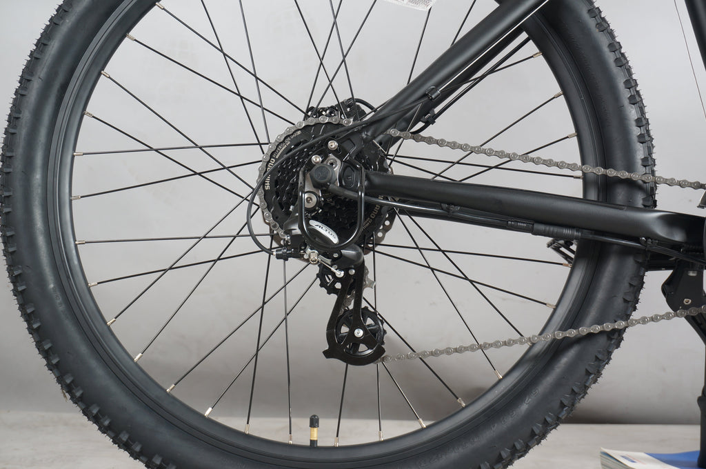 DWMEIGI DW7610 36V/10Ah 350W Electric Mountain Bike