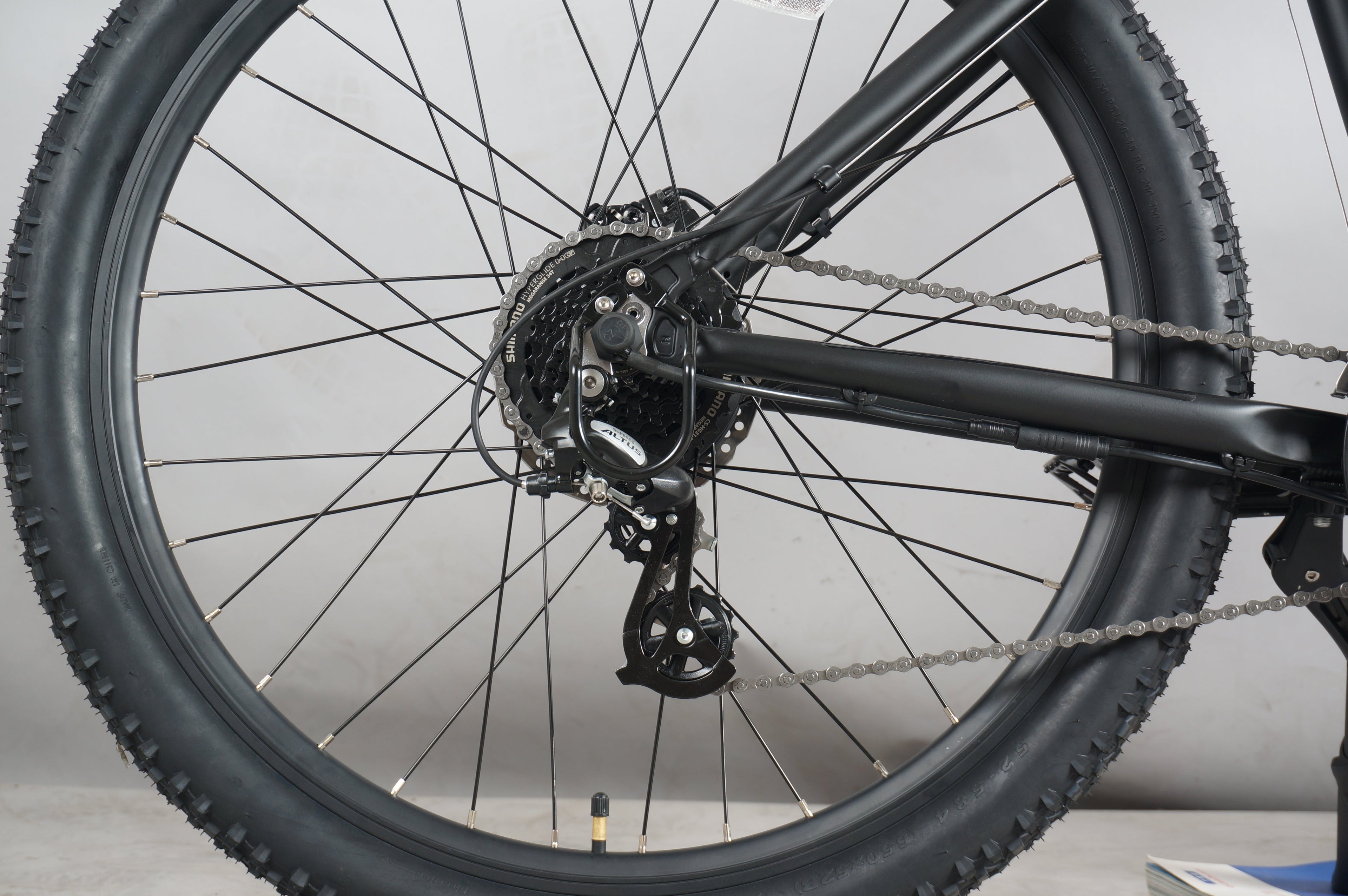DWMEIGI DW7610 36V/10Ah 350W Electric Mountain Bike