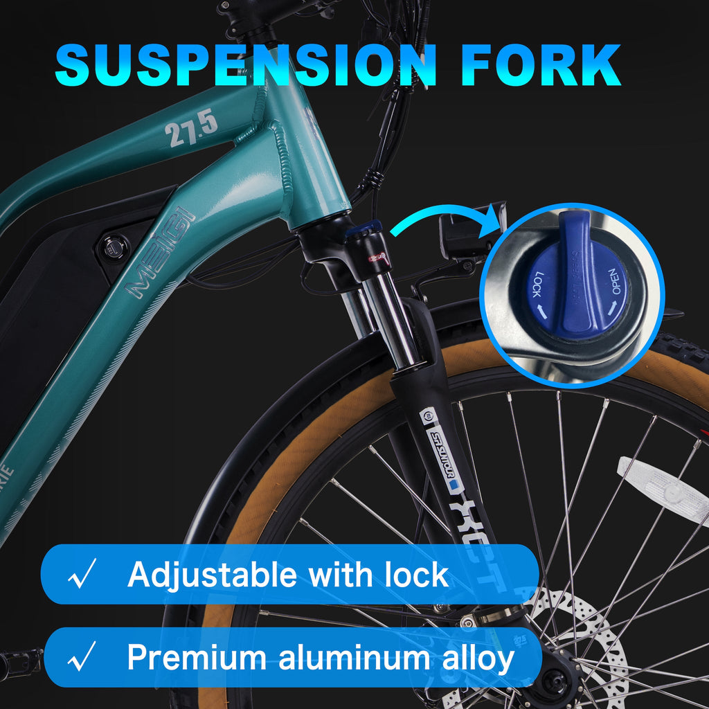 DWMEIGI Hestia 48V/13Ah 750W Electric Bike