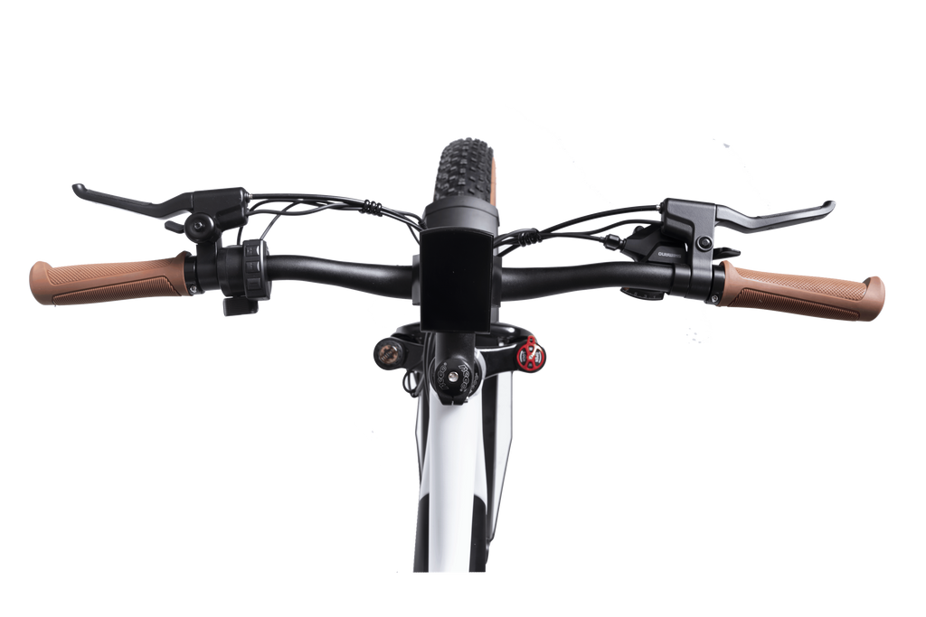 DWMEIGI Artemis 48V/16Ah 750W Fat Tire Electric Bike