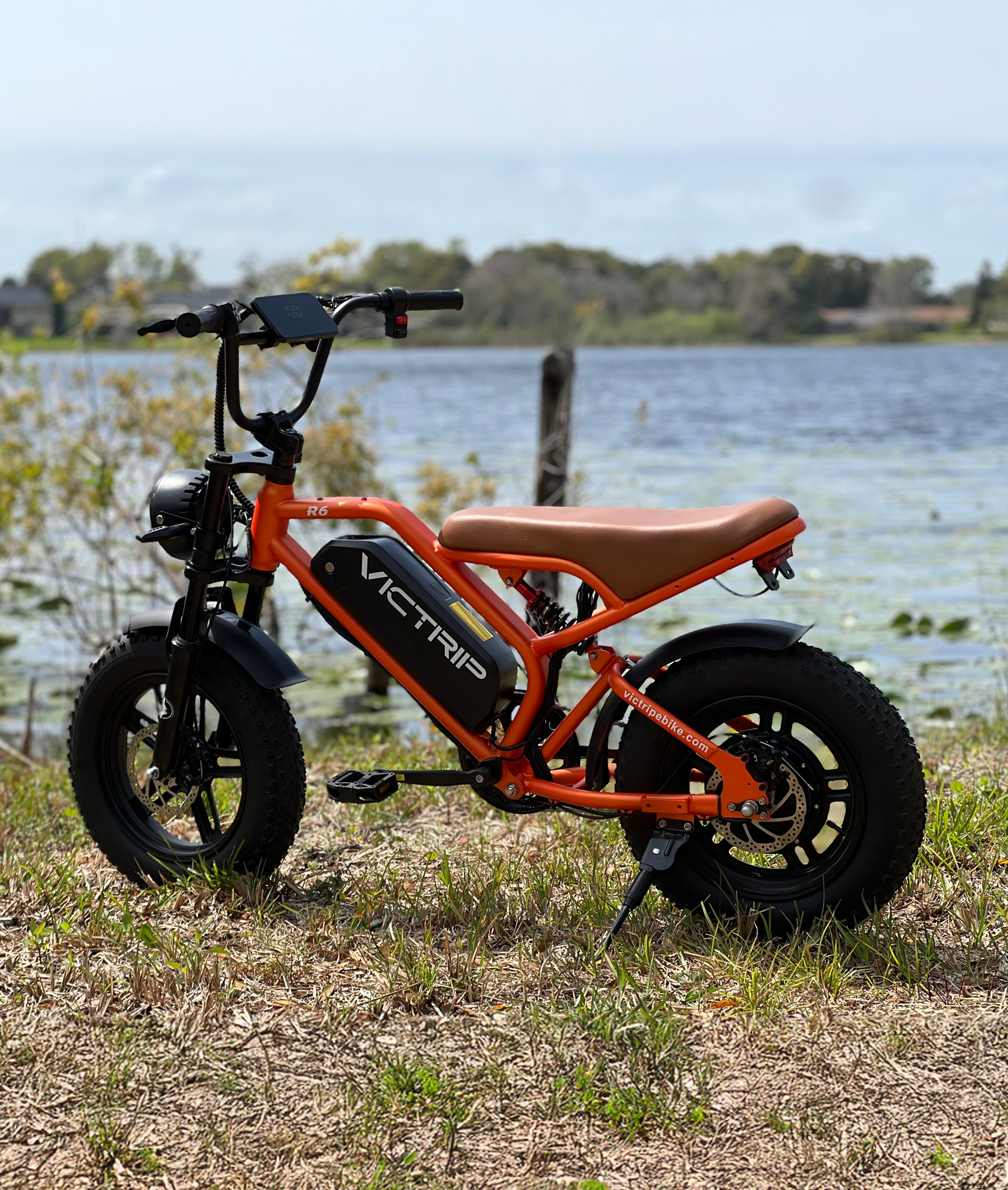 VICTRIP®R6 Off Road Ebike