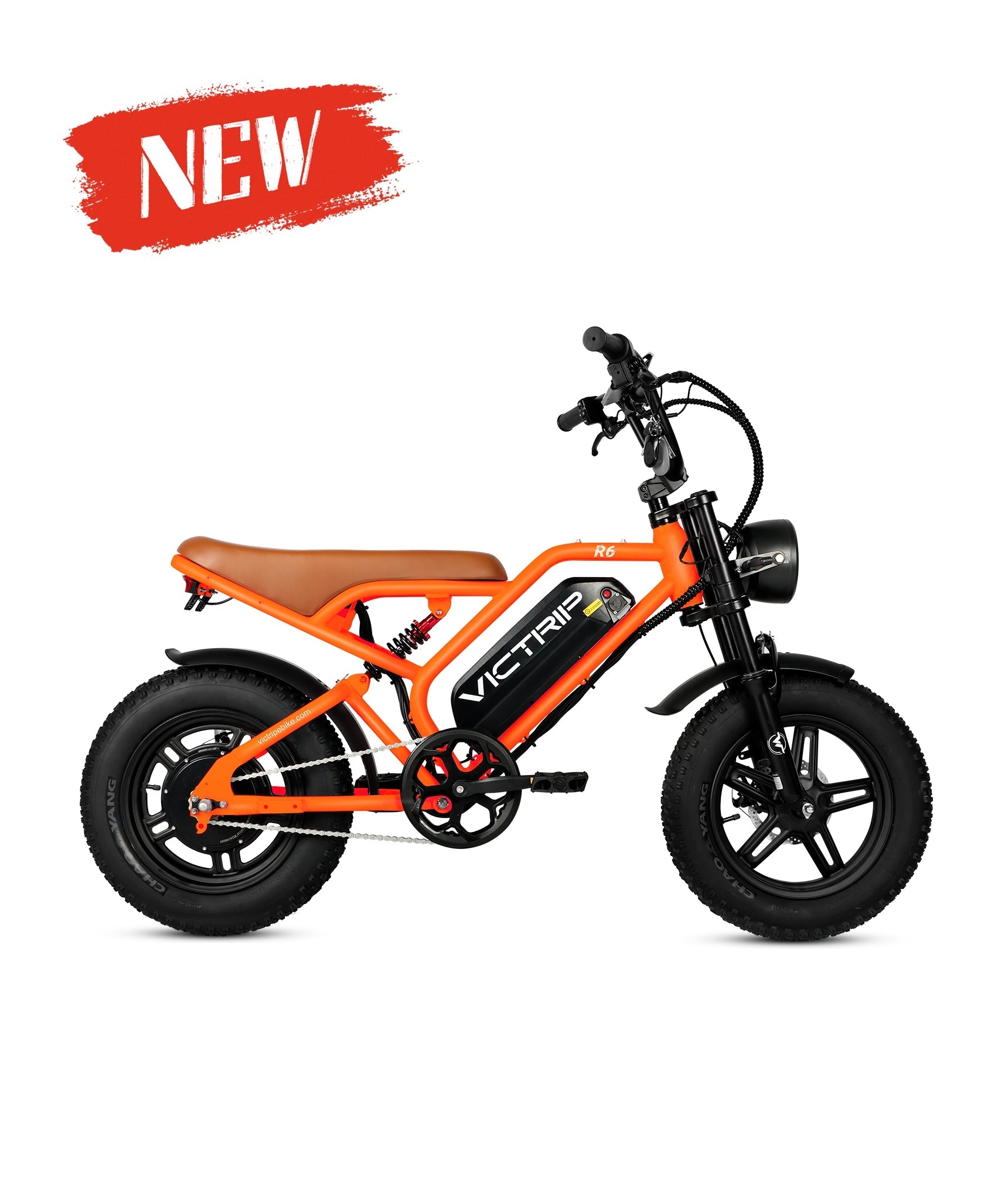 VICTRIP®R6 Off Road Ebike