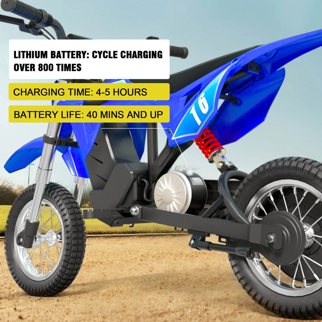 Hiboy DK1 36V/4Ah 300W Electric Dirt Bike For Kids