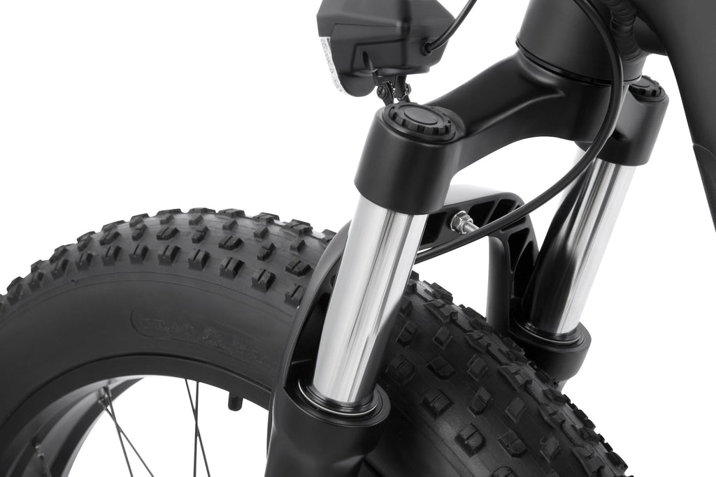 DYU King 750 48V/20Ah 750W Fat Tire Electric Bike