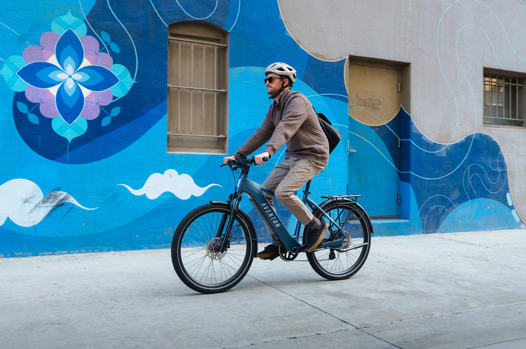 Level 4 REC Step-Through Ebike