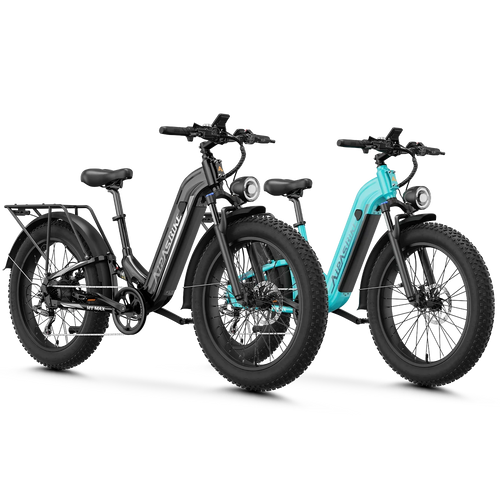 Aipas® Ebike Combo Sale M1 Max*2