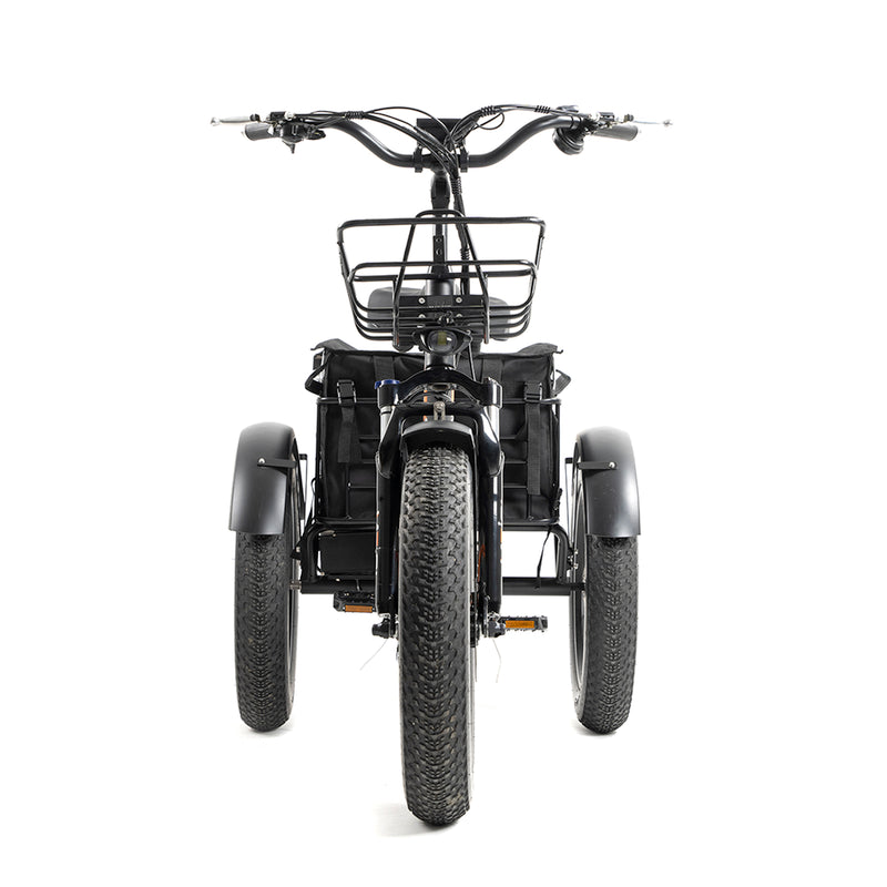 DWMEIGI Zeus MG1703 48V/18.2Ah 750W Electric Trike