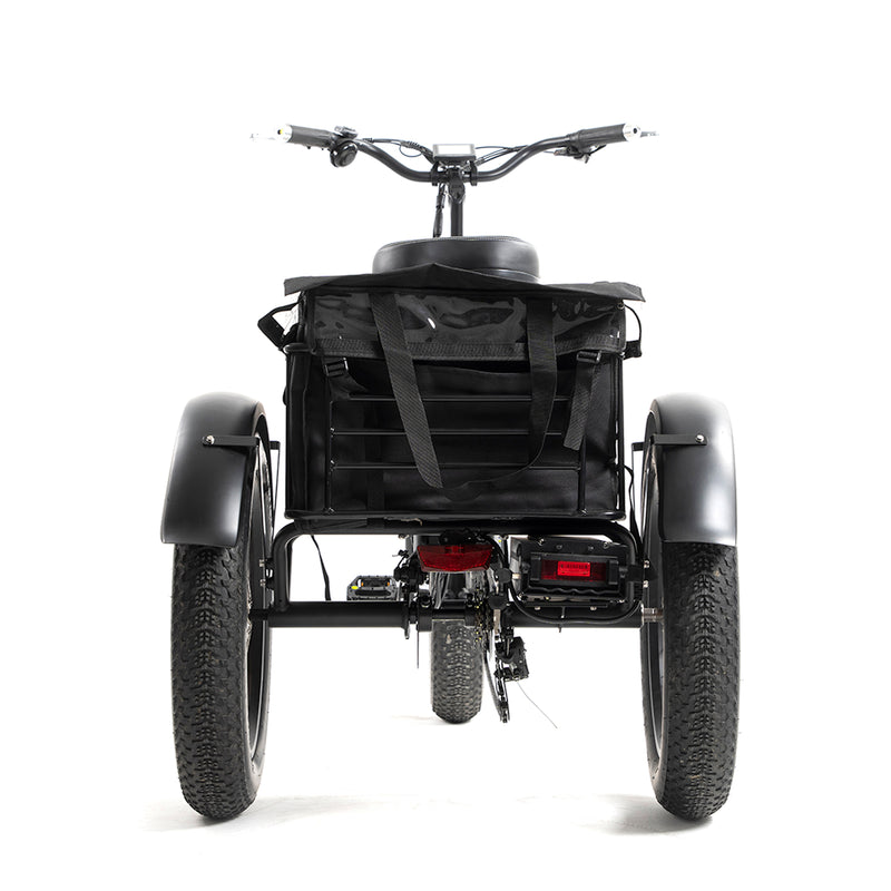 DWMEIGI Zeus MG1703 48V/18.2Ah 750W Electric Trike