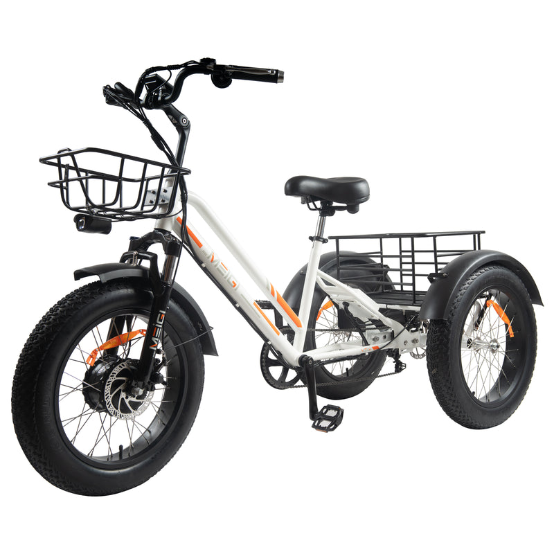 DWMEIGI Zeus MG1703 48V/18.2Ah 750W Electric Trike