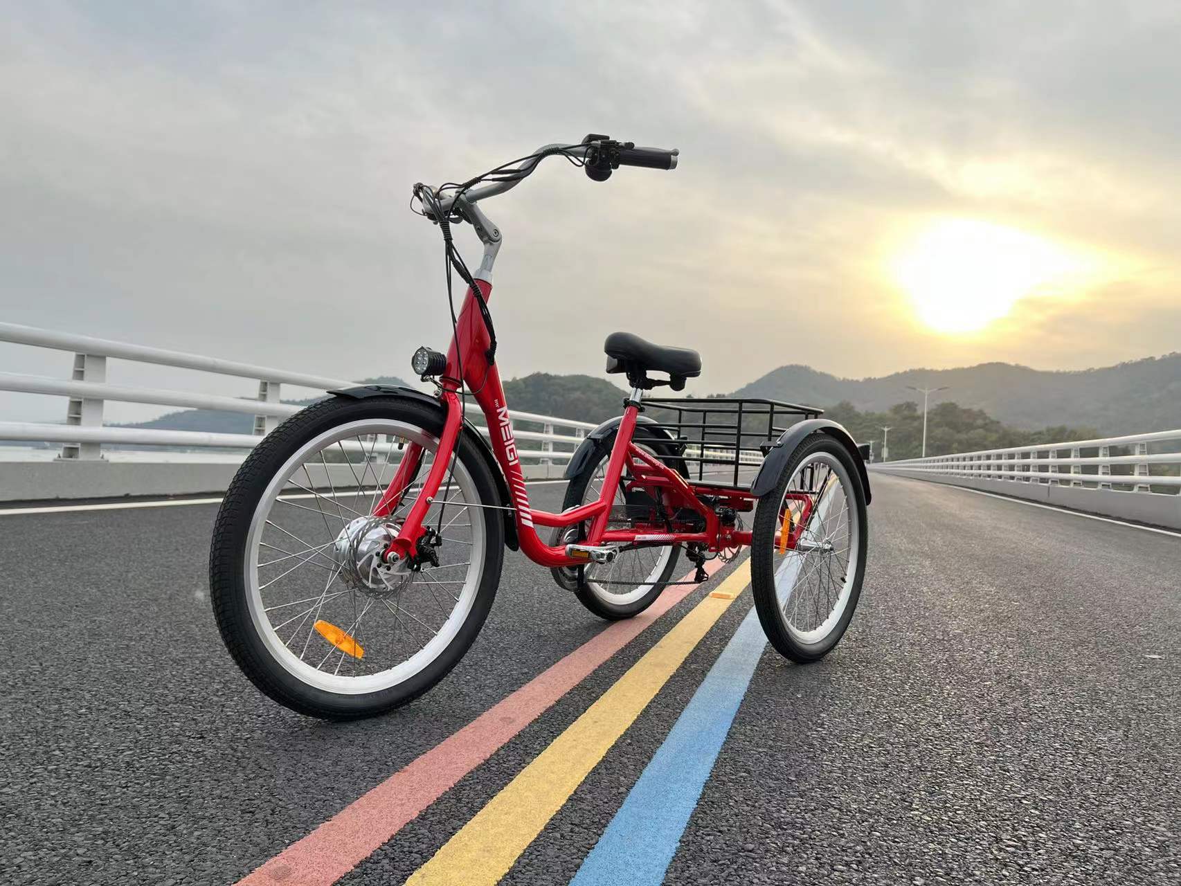 DWMEIGI Hera MG708 36V/13Ah 350W Step-Thru Electric Trike