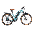 DWMEIGI Hestia 48V/13Ah 750W Electric Bike