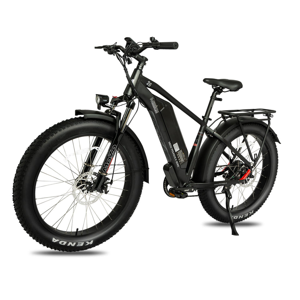 DWMEIGI Pegasus 48V/16Ah 750W Fat Tire Electric Bike