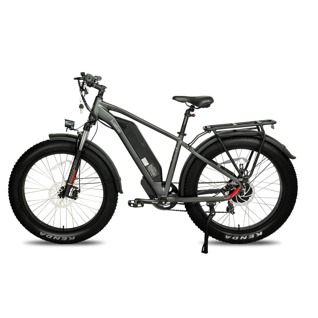 DWMEIGI Pegasus 48V/16Ah 750W Fat Tire Electric Bike