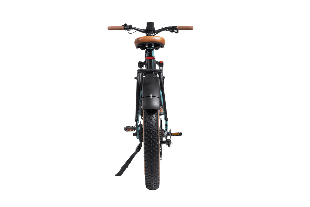 DWMEIGI Artemis 48V/16Ah 750W Fat Tire Electric Bike