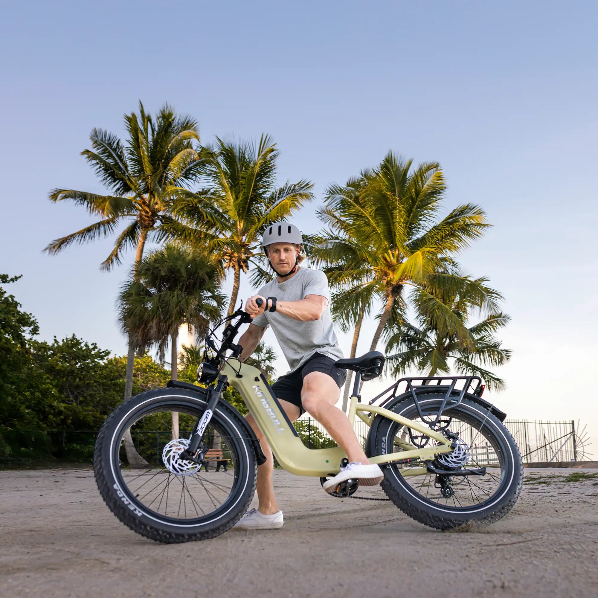 Trekker | Premium Step-Through Electric City Bike